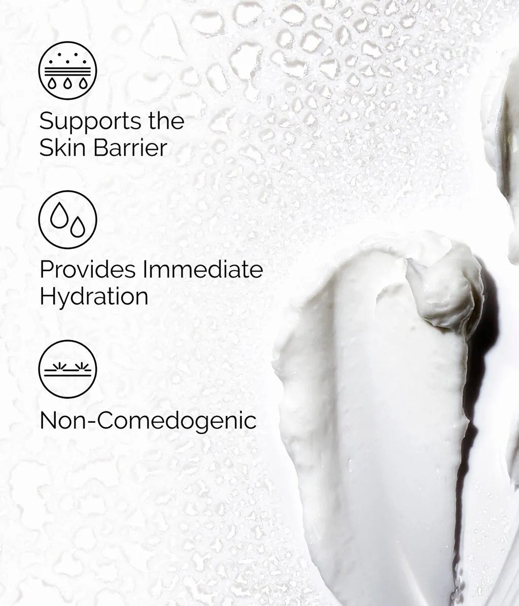 The Ordinary Natural Moisturizing Factor + HA 100ml