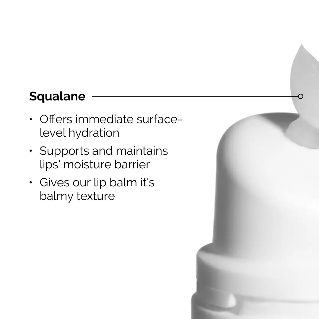 The Ordinary Squalane + Amino Acids Lip Balm 15 ml