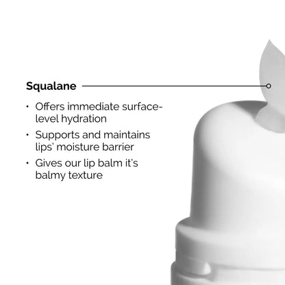 The Ordinary Squalane + Amino Acids Lip Balm 15 ml
